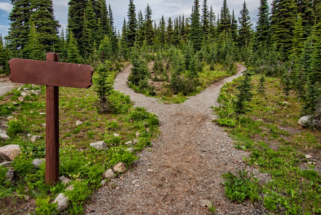 Crossroads